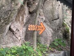 -洛阳白云山景区