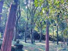 -苏州上方山国家森林公园