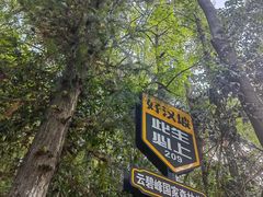 -云碧峰国家森林公园