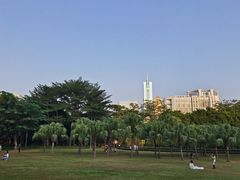 -东风公园