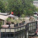 魔都后花园网红最美商场