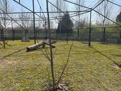 -石家庄市动物园