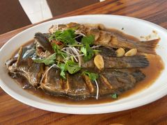 -鸿运美食府