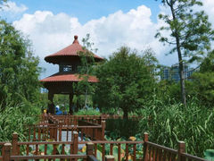 -五缘湾湿地公园