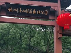 -杭州半山国家森林公园