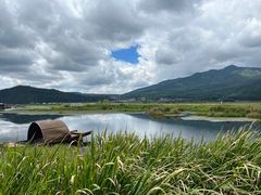 -腾冲北海湿地