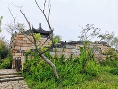 -广富林郊野公园