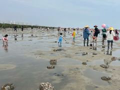 -红树林天天赶海