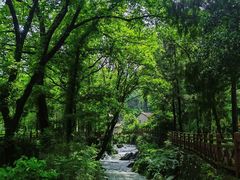 -素山寺森林公园