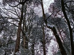 -龙苍沟森林公园