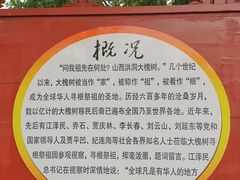 -大槐树寻根祭祖园