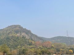 -八卦田遗址公园