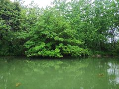 -梁鸿国家湿地公园