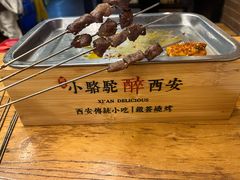 -福苗小骆驼烧烤(莲湖路店)