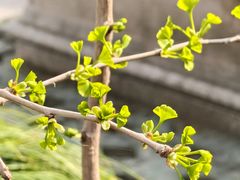 -宝岩生态观光园