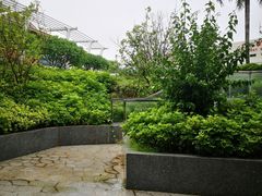 -中山大学附属第五医院