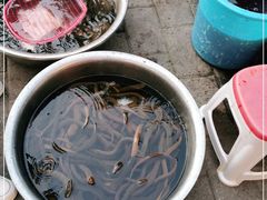 -铜元老码头鳝鱼火锅