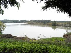 -大湾区中央湿地公园