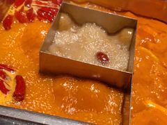 -鼎膳常火锅(华阳店)