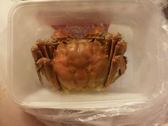 -王宝和酒家(黄浦店)