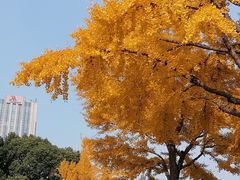 -大宁公园
