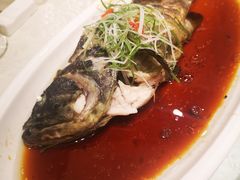 -高老庄新家宴(北斗星广场店)