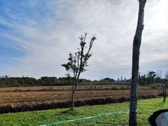-广富林郊野公园