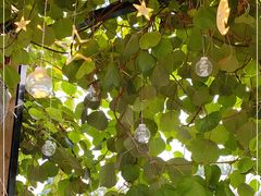 -后海16号·北京私房菜