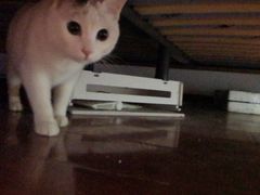 -宠颐生中康贝怡动物医院