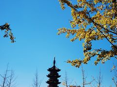 -龙华寺