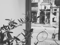 -Onirii Coffee(长乐路店)