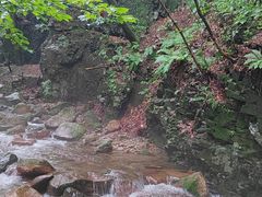 -本溪汤沟绿石谷森林公园