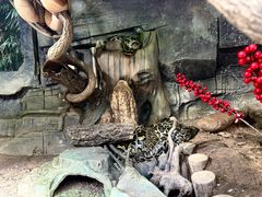 -大连森林动物园