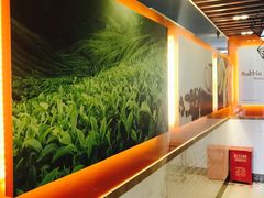 -CoCo都可(大华二店)