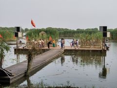 -洪湖生态旅游区