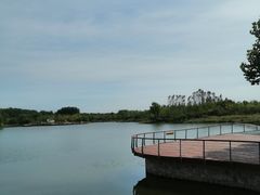 -东郊湿地公园