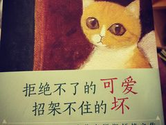-有猫儿腻咖啡厅.猫咖