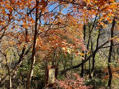 -玉渡山自然风景区
