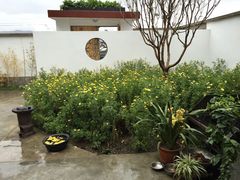 -翠田Green Field Kitchen