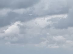 -盐城丹顶鹤湿地生态旅游区