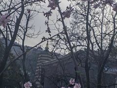 -八大处公园