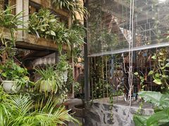 -Rainforest