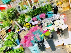 -曲阳花鸟市场(曲阳路店)