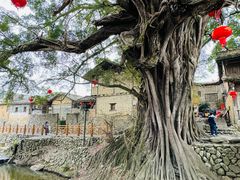 -南靖田螺坑土楼群景区