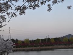 -羊山湖公园