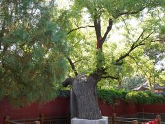 -天宁寺