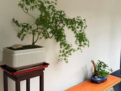 -黄公望隐居地
