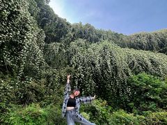 -府河摄影公园