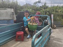 -老袁家蜜桃农场·阳山水蜜桃