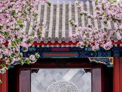 -故宫博物院(故宫)